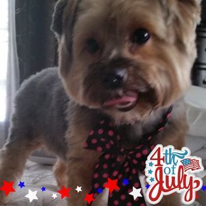 Meet your Posher, Darrell